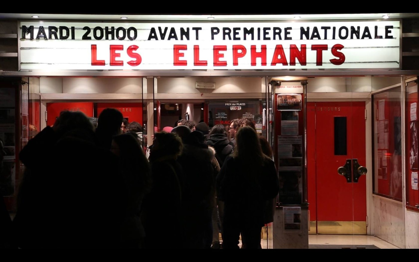 Les Éléphants · rencontre et projection